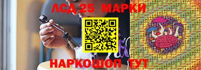 ешки Гатчина
