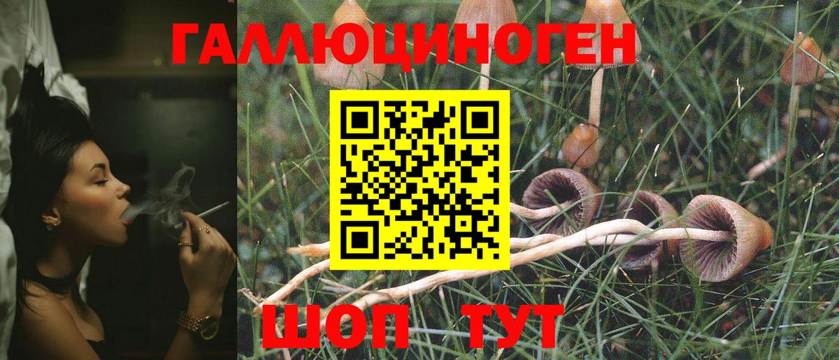 Южноуральск  Псилоцибиновые грибы мицелий  Вход с VPN 