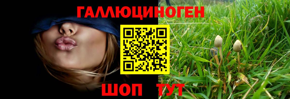 Галлюциногенные грибы мухоморы Южноуральск